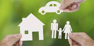 productor de seguros 